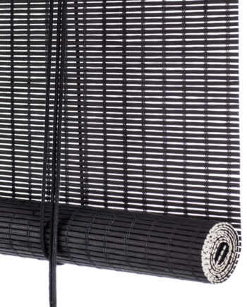 Color   Bambus Sort 160