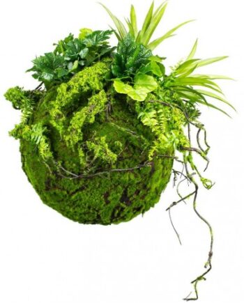 Kokedama Have Kunstige Planter Mos ø35 Grøn