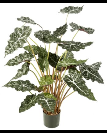 Kunstig Alocasia Plante H110