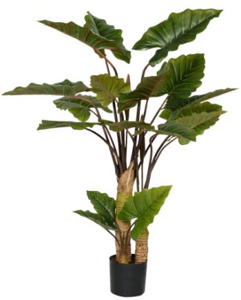 Kunstig Alocasia Plante H160
