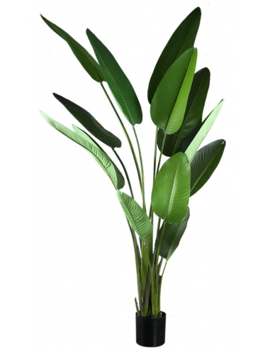 Kunstig Strelitzia Palme H310 Grøn