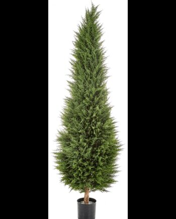 Kunstigt Cypress Træ H180