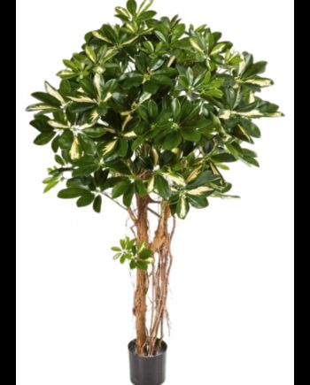 Kunstigt Schefflera Træ H170