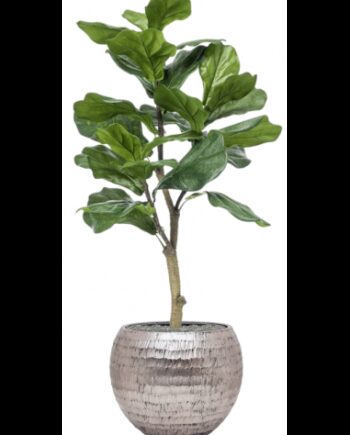 Sammenplantning Med Krukke Kunstig Ficus Lyrata Plante H120