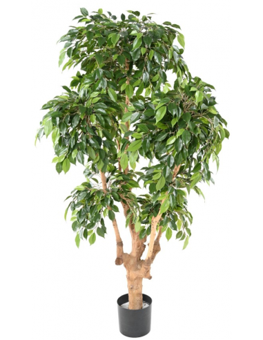 Stor Kunstig Ficus Plante H170