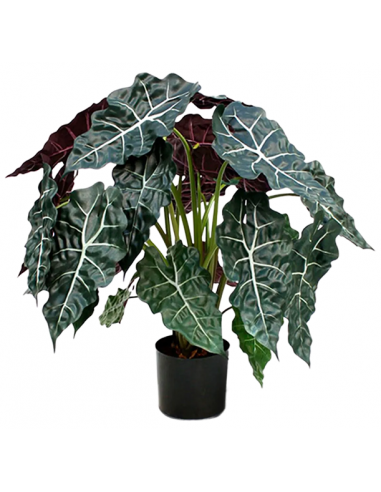 Kunstig Alocasia Polly Plante H75