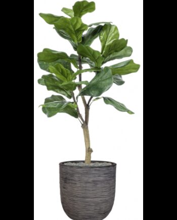 Sammenplantning Med Krukke Kunstig Ficus Lyrata Plante H122