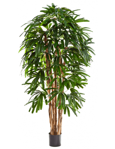 Kunstig Rhapis Plante H180
