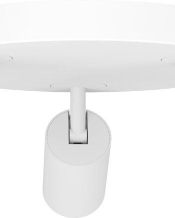 Eglo Telimbela Rondel Lampe Hvid Rgb Zigbee