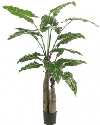 Kunstig Alocasia Plante H150