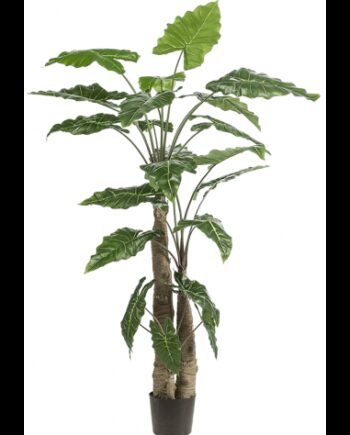 Kunstig Alocasia Plante H180