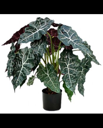 Kunstig Alocasia Polly Plante H75