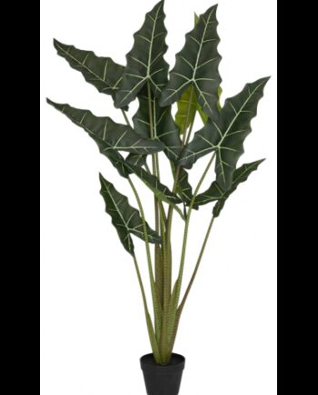 Kunstig Alocasia Taro Plante H160