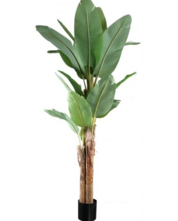 Kunstig Banan Palme H280 Grøn