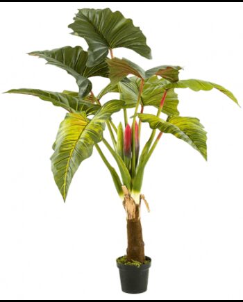 Kunstig Colocasia Plante H160