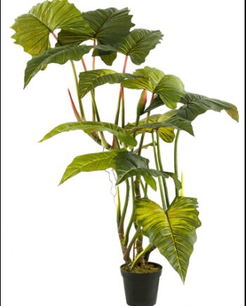 Kunstig Colocasia Plante H175