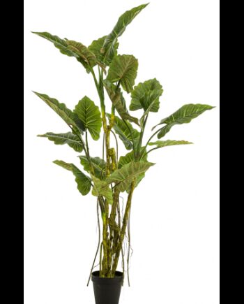 Kunstig Colocasia Plante H195