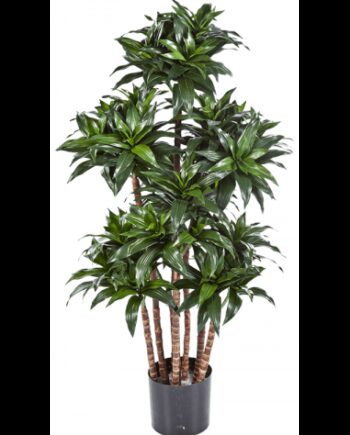 Kunstig Dracaena Fragrans Plante H120