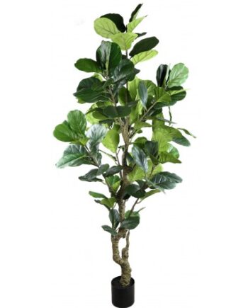 Kunstig Ficus H220 Grøn