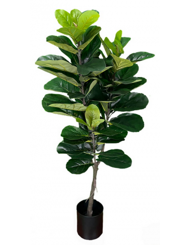 Kunstig Ficus Plante H150 Grøn