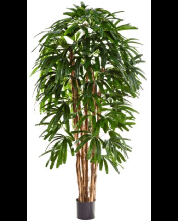 Kunstig Rhapis Plante H150