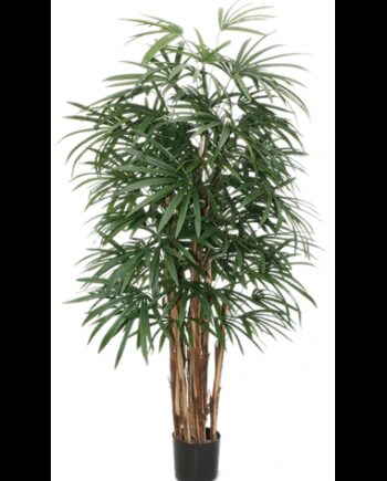 Kunstig Rhapis Plante H160