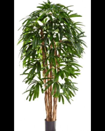 Kunstig Rhapis Plante H210