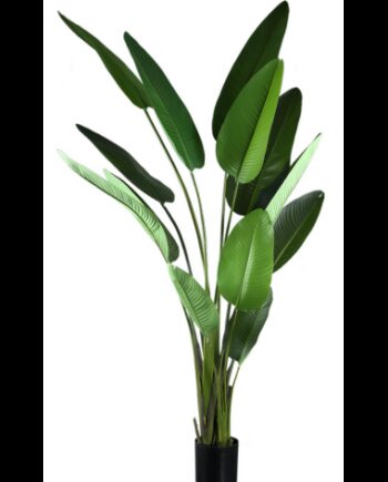Kunstig Strelitzia Palme H310 Grøn