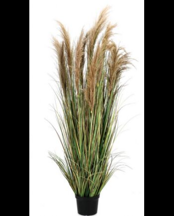 Kunstigt Pampas Græs H180