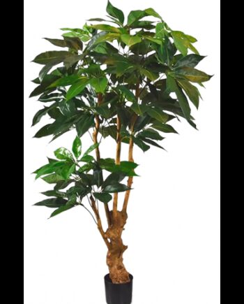 Kunstigt Schefflera Actoniphylla Træ H165