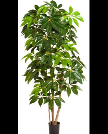 Kunstigt Schefflera Amate Træ H220