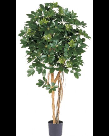 Kunstigt Schefflera Træ H140