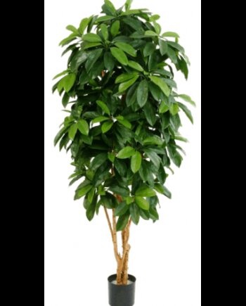 Kunstigt Schefflera Træ H142