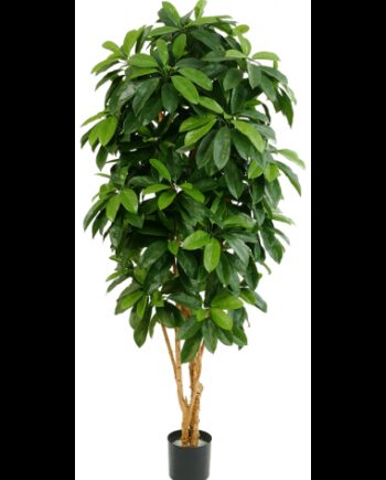 Kunstigt Schefflera Træ H172
