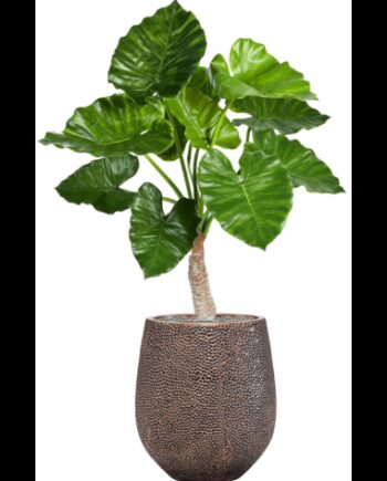 Sammenplantning Med Krukke Kunstig Alocasia Calidora Plante H120