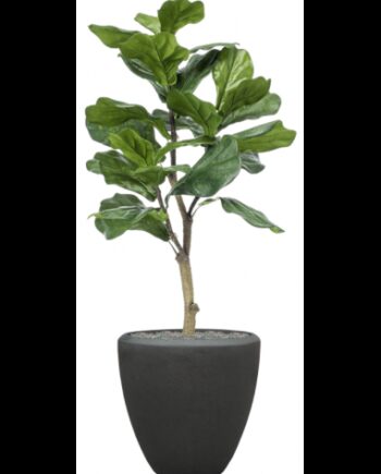 Sammenplantning Med Krukke Kunstig Ficus Lyrata Plante H128