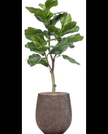 Sammenplantning Med Krukke Kunstig Ficus Lyrata Plante H130