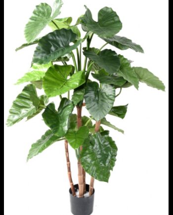 Stor Kunstig Alocasioa Plante H170