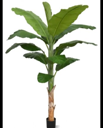 Stor Kunstig Bananpalme H210