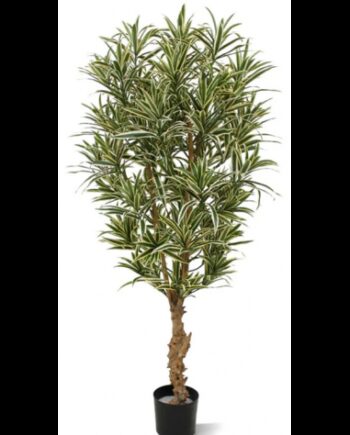 Stor Kunstig Draceana Plante H150 Grøn