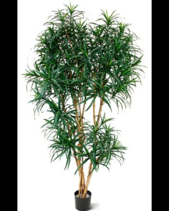 Stor Kunstig Draceana Plante H190 Grøn