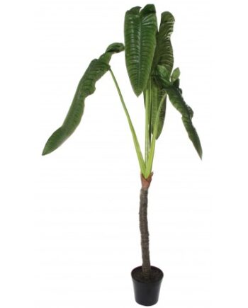 Stor Kunstig Elefantøre Plante H240