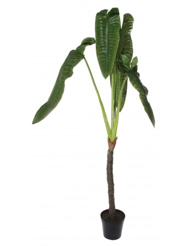 Stor Kunstig Elefantøre Plante H240