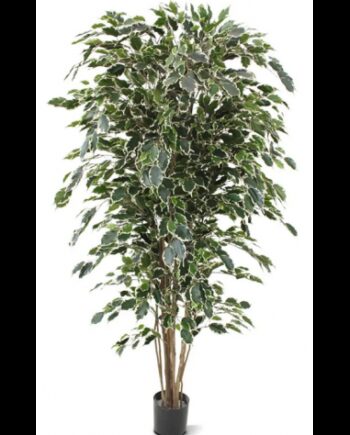 Stor Kunstig Ficus Plante H180 Grøn