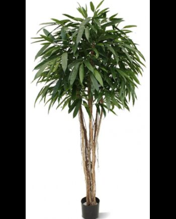 Stor Kunstig Longfolia Plante H180 Grøn