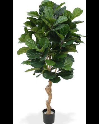 Stor Kunstig Lyrata Plante H160 Grøn