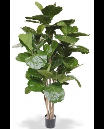 Stor Kunstig Lyrata Plante H170 Grøn