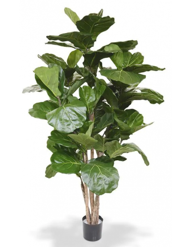 Stor Kunstig Lyrata Plante H170 Grøn