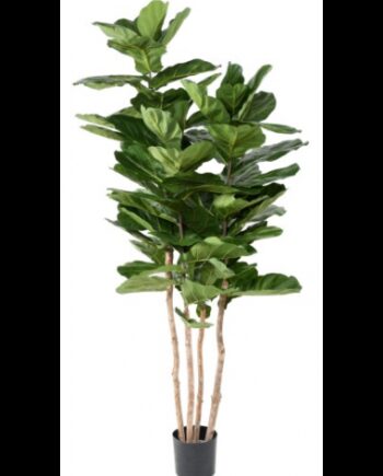 Stor Kunstig Lyrata Plante H210