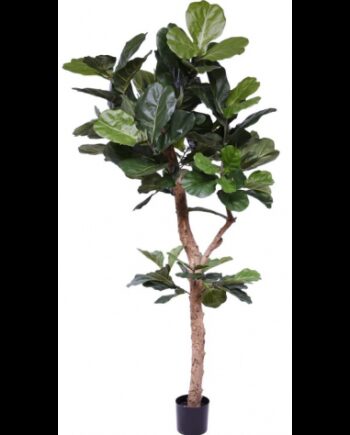Stor Kunstig Lyrata Plante H210 Grøn